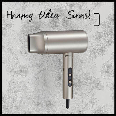 전문 2000W 헤어 드라이어 110,000 RPM BLDC 모터와 500 백만 음 이온